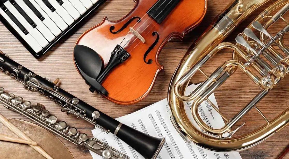 The Crucial Role of Humidity Control in Preserving Your Musical Instruments - Solenco South Africa